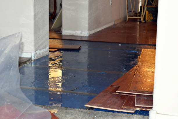 Professional Sewage Cleanup technician working in Fentress, TX